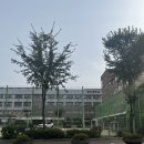 풍양중학교 | 남양주 풍양중학교에서 본 토익시험 후기