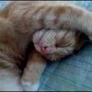 무념무상 이미지