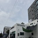 신창농장 | [제주서쪽]먹이체험이 가능한 동물원 새별프렌즈부터 오설록, 노을 해안도로와 이자카야까지 1일여행...