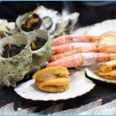 대영상회 이미지