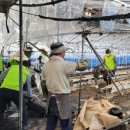 대전면사무소 이미지