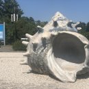 크로스핏 서귀포 이미지