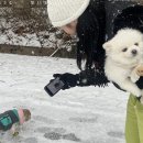 부영공원 이미지