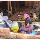 이창농장 이미지