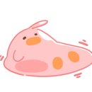 수지축산