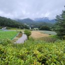 오대산힐링빌리지영농조합법인 이미지