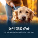 동탄행복약국 이미지