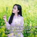 제이티엘 카카오 검색결과
