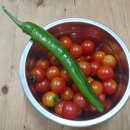 이랑이네 이미지