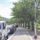 초임수퍼 이미지