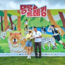 오늘의 댕댕 | 댕댕트레킹 2025 7K 완주 기념품 주차 일정 후기