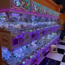 금자오락실 이미지