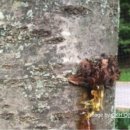 동제농장 이미지