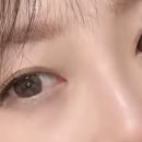 [포토후기] 집에서 직접 뷰티인마인 셀프 속눈썹