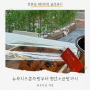 뉴욕매니아 | 이웃집 통통이 망원점, 꾸덕꾸덕한 뉴욕치즈 쫀득빵, 소금빵 내돈내산 후기