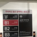 주식회사 케이지이 | 흐린날 거제 파노라마 케이블카 후기!