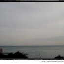 청사포횟집 이미지