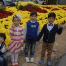 안성1동주민센터 이미지