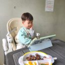 아기랑 두 돌 기념, 청도 굿스파키즈풀빌라 펜션 + 칠곡보, 칠곡호국평화체험관 (키즈카페)🎈