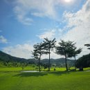 동원골프연습장 | 골프스윙교정 후 드라이버 비거리 20미터 늘어난 생생 후기