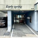 스프링플라워 | [내돈내산] 구제주 감성꽃집 “얼리스프링플라워” 솔직 후기