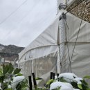 동미식당 이미지