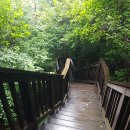 엄광산임도 이미지