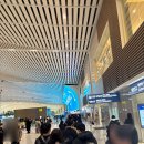 버디앤파트너스 | [프라하] 강변역 6705A, 인천-프라하 대한항공 직항, 마티나 라운지, 프라하 픽업 서비스