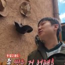 덤앤덕스 이미지