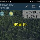 백두대간 능이납사와 싸리 꽃송이 수확산행.108 이미지