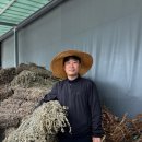 대본농장 이미지