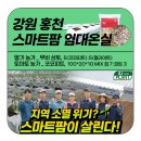 에스제이팜 | [후기] 홍천 스마트팜 임대 온실 대박! 📈 에스제이(SJ) 배지 100% 공급 스토리 공개!
