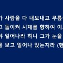 다비다쿰 티스토리