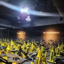 더스피닝 이미지