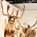 주식회사 비엠비 베이비뉴스