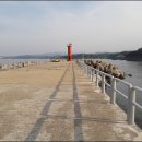 수산항요트마리나 Daum카페