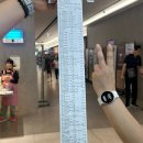 나무들의 수다 | [강원도/춘천]자연 뷰 6인가족 춘천 독채풀빌라 나무들의 수다 내돈내산 찐후기