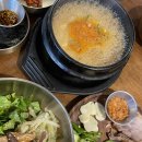 회춘제주