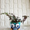 실버공예심리지도사 이미지