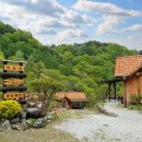 하늘숲황토펜션 이미지