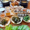 전원일기 | 제주 흑돼지 쌈밥 맛집, 서귀포 전원일기 푸짐한 후기