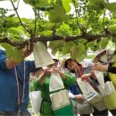 은평농장 이미지