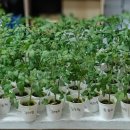 달북초등학교 이미지