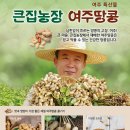 소문난땅콩 이미지