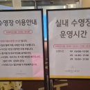 디노호텔 | 서울 가성비 좋은 호텔추천 마리나베이 디노룸+수영장후기