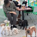 니멍내멍 이미지