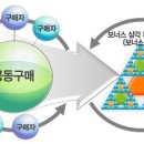 에스티엔 이미지