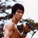 우슈쿵후 이미지