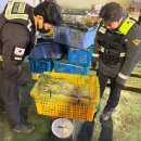 진안군 농어촌폐기물 종합처리시설 | '이공계 석사우수장학금' 첫 시행…연 500만 원 지원 / '대한민국새단장'…정부, 추석·APEC앞 국민...