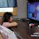 창작 인형극 파란토끼 룰루의 모험 이미지